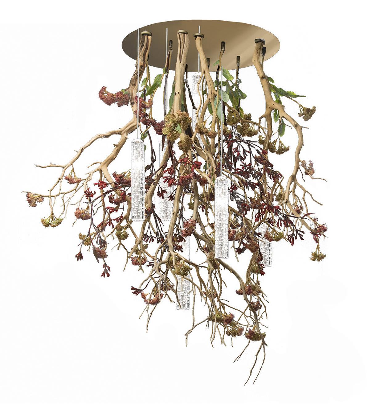 Lustre Manzanita