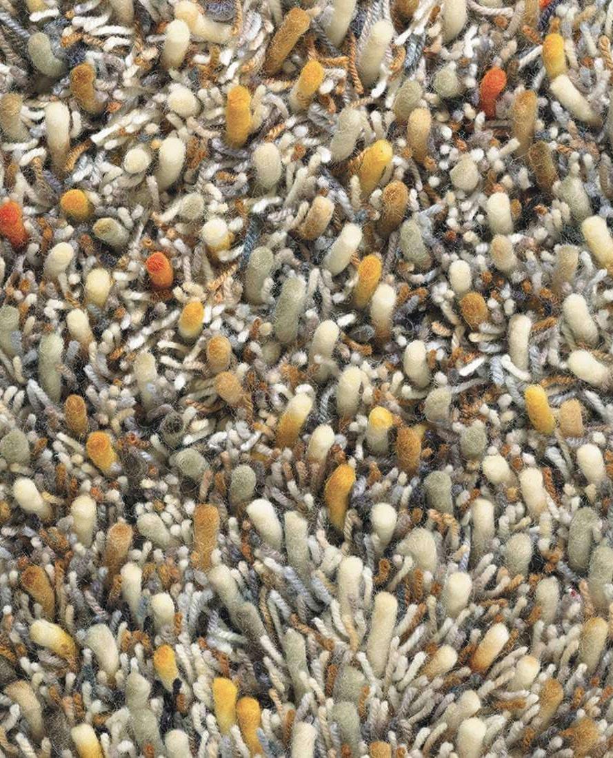 Tapete Shaggy Spring | Tamanho: 170 × 240 cm
