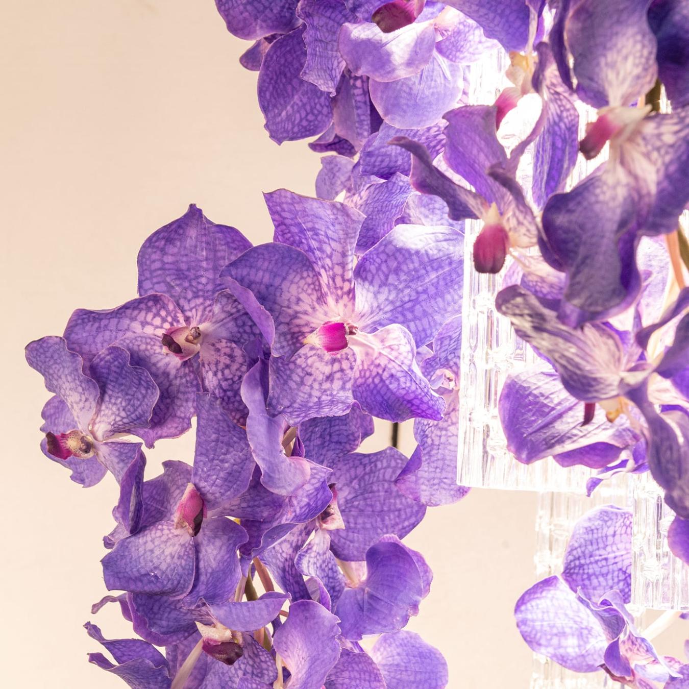 Lustre Quadrado Vanda