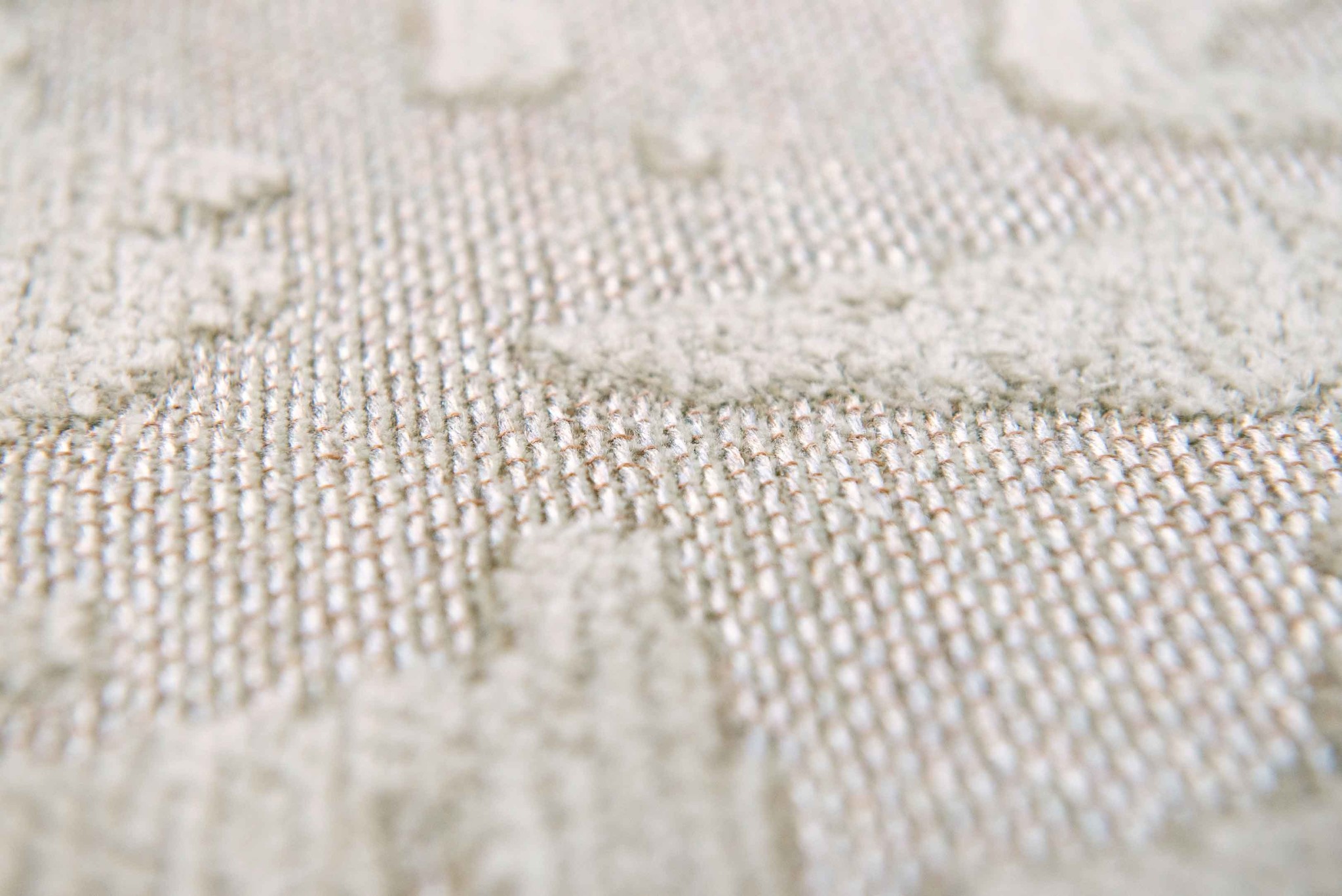 Tapete Baobab - Dry Bege 9197 | Tamanho: 170 × 240 cm