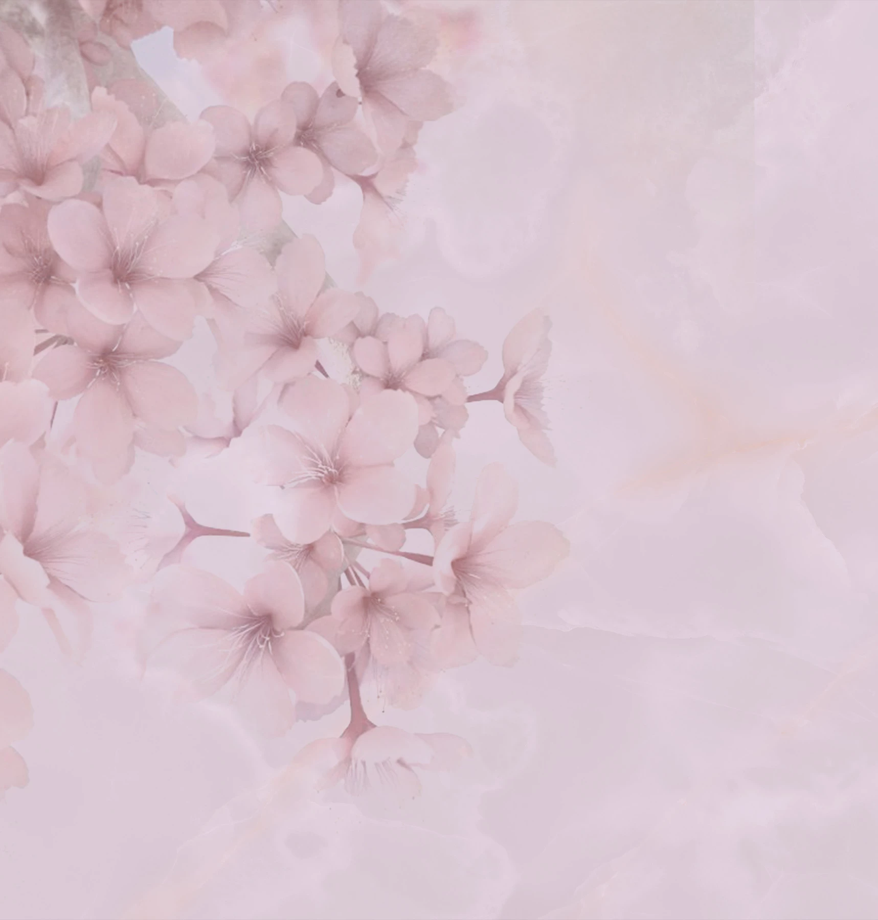 Papel de Parede Bloom