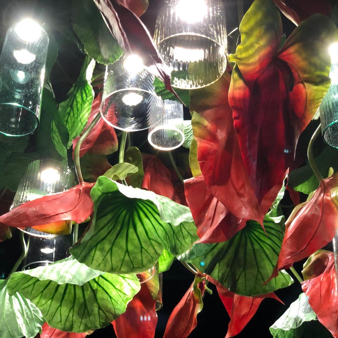 Lustre Red Anthurium