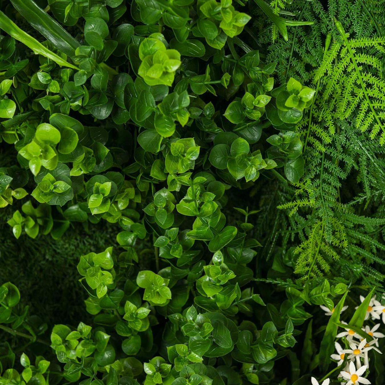 Composição de Parede em Vegetação Exterior Meleda