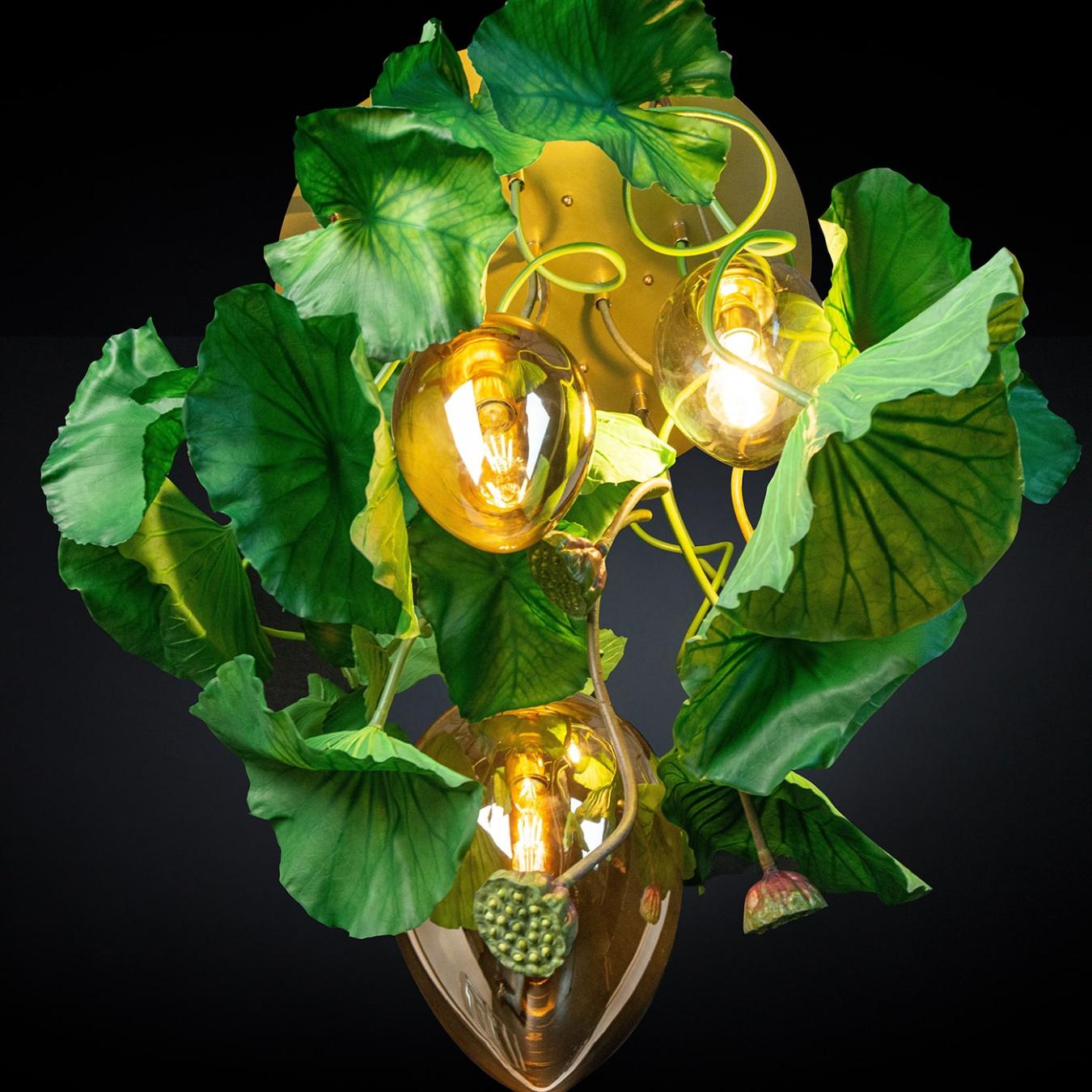 Lustre Redondo Dichondra