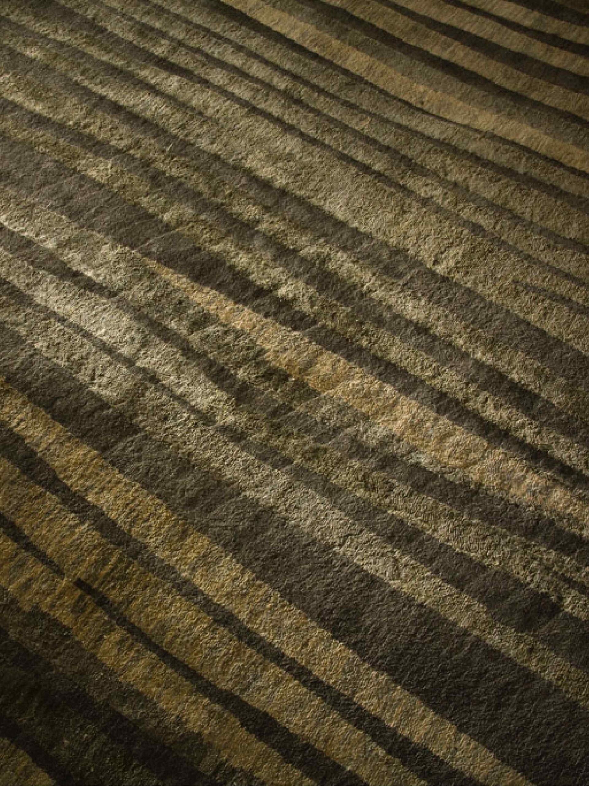 Tapete Zen Terre Designer