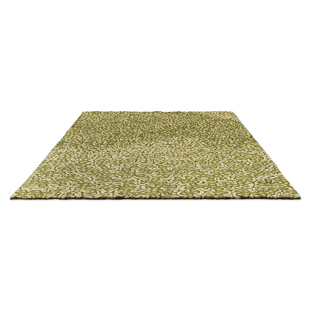 Tapete Exterior Truffle Oliva | Tamanho: 250 × 350 cm