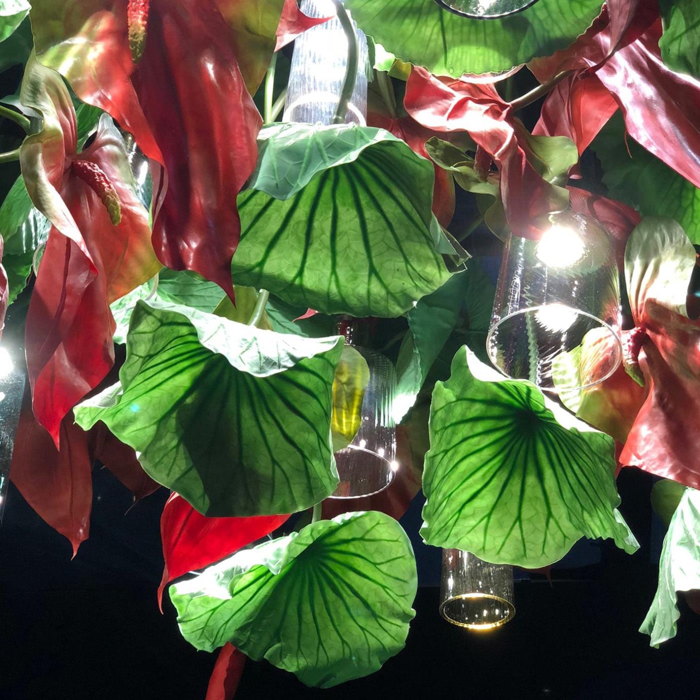 Lustre Anthurium