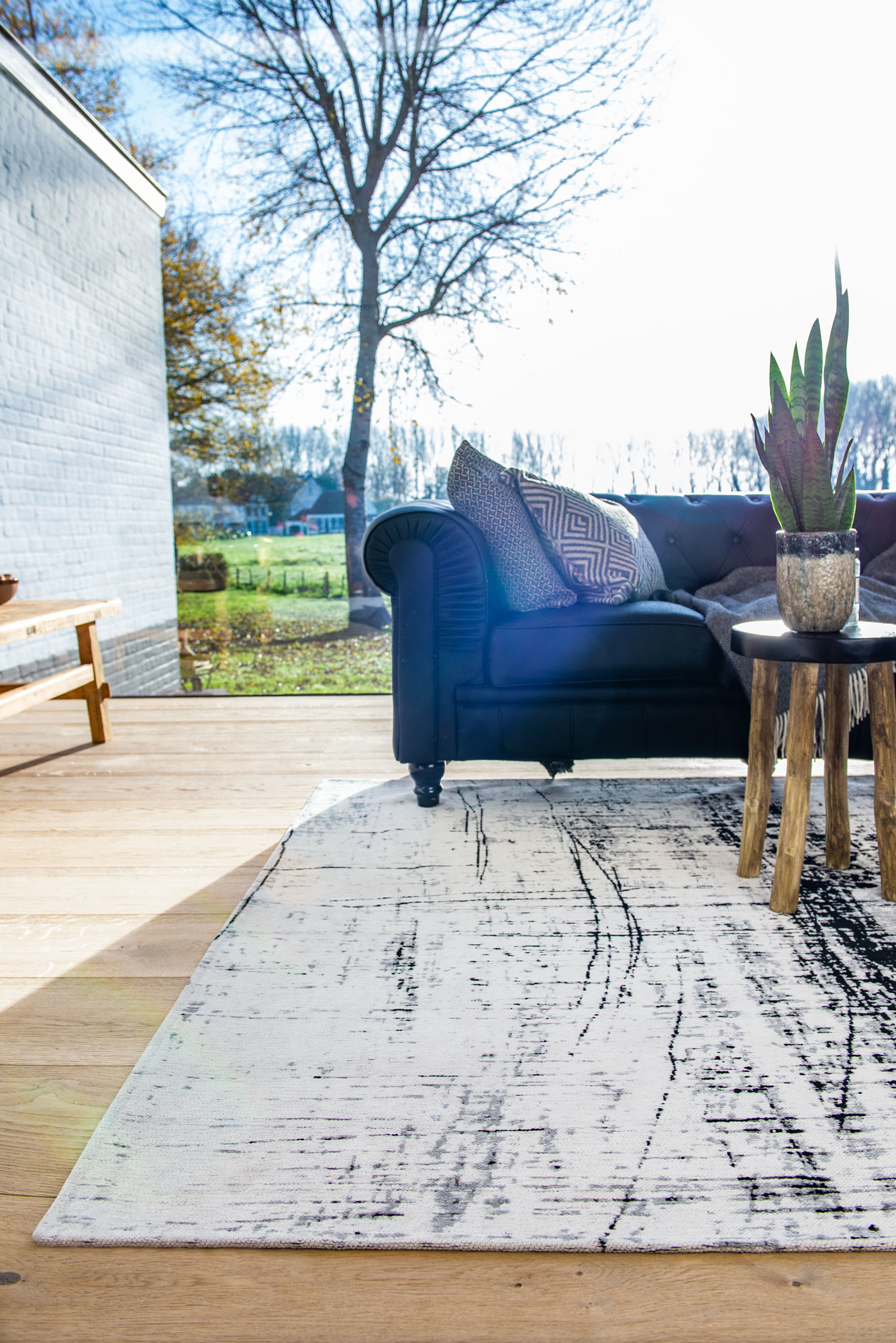 Tapete Black & White 8926 | Tamanho: 170 × 240 cm