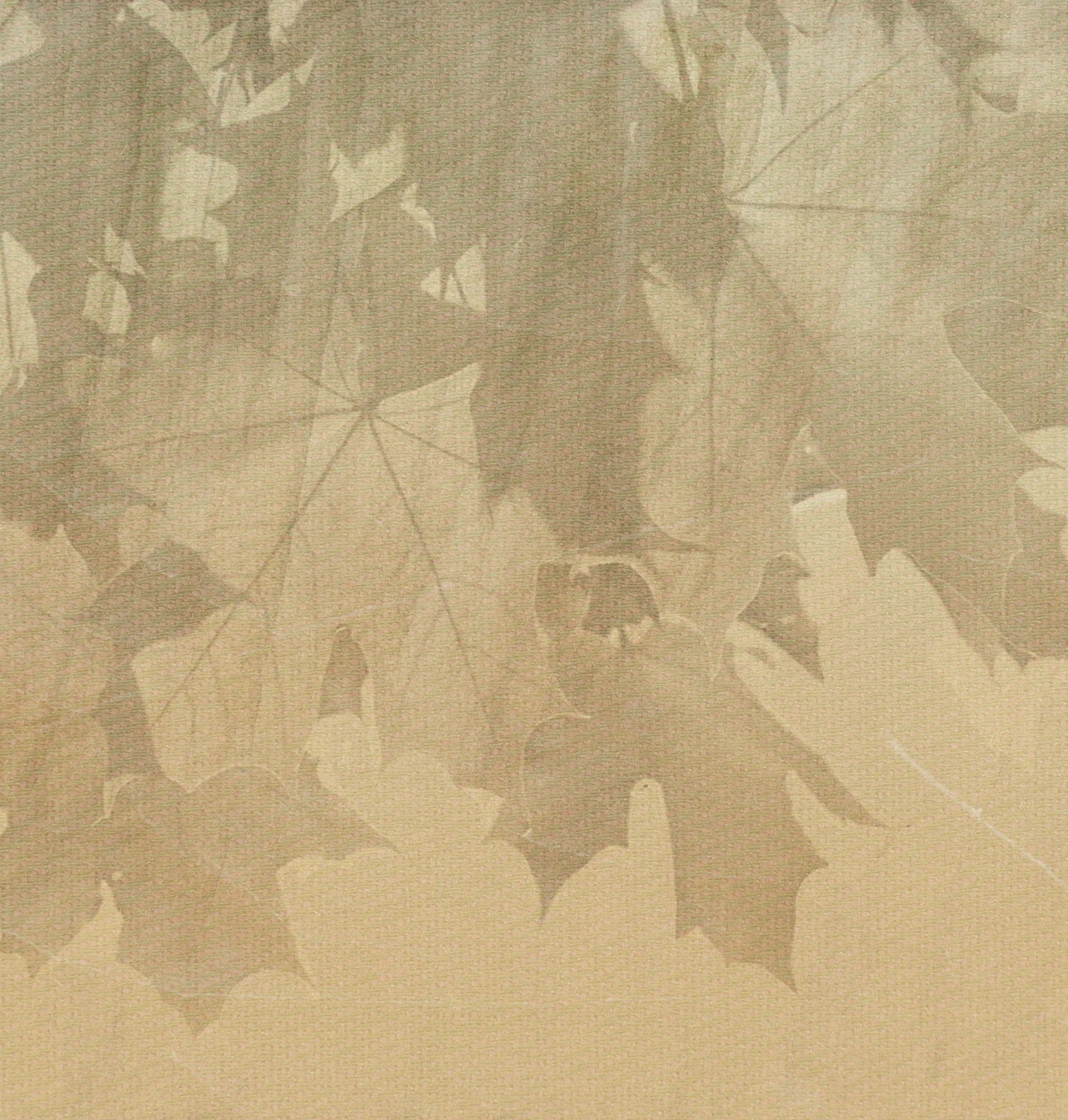 Papel de Parede Creative Leaves