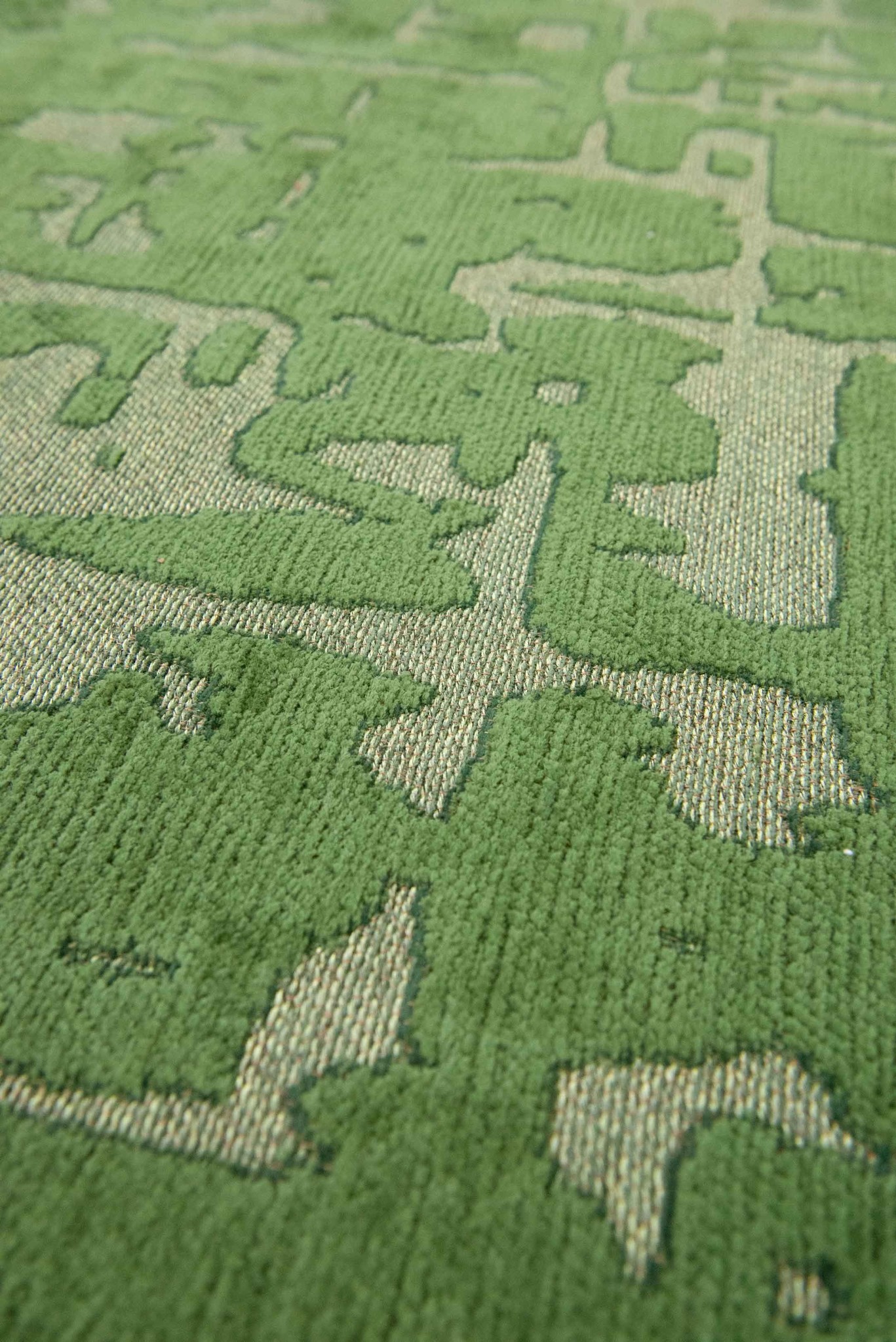Tapete Baobab - Perrier's Verde 9202 | Tamanho: 170 × 240 cm