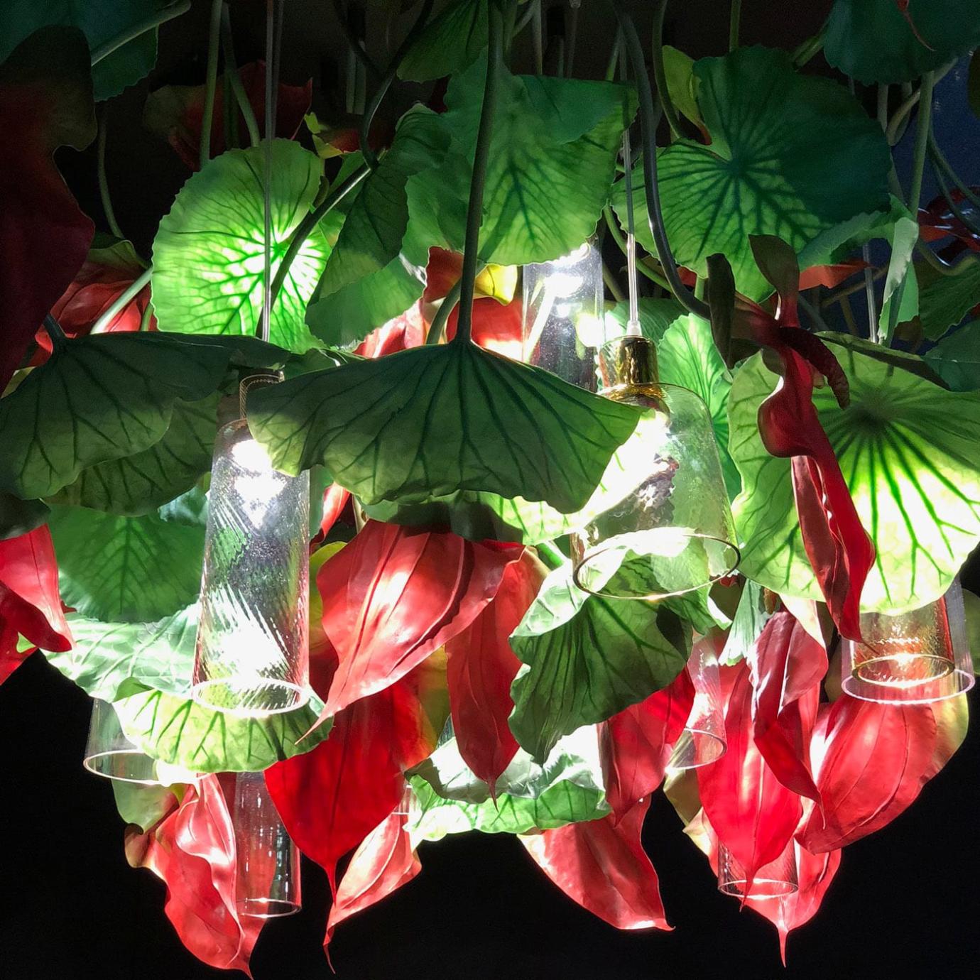 Lustre Anthurium