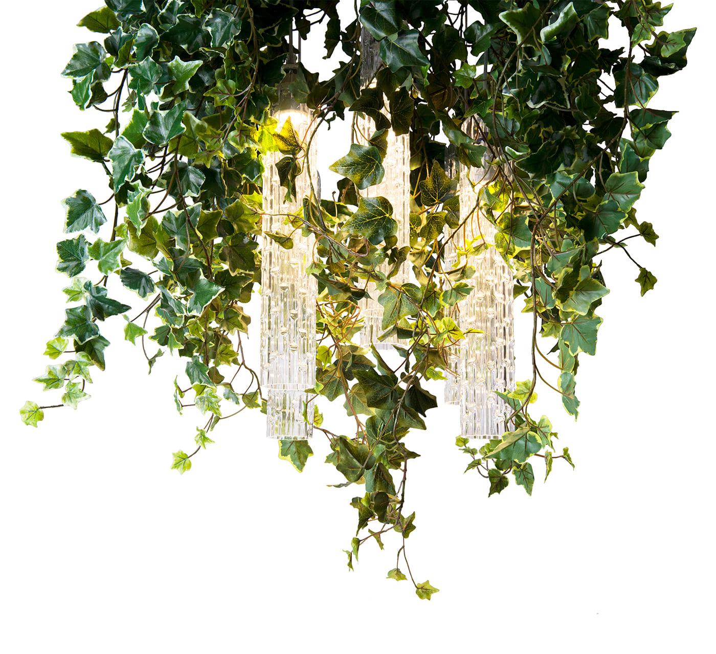 Lustre Ivy