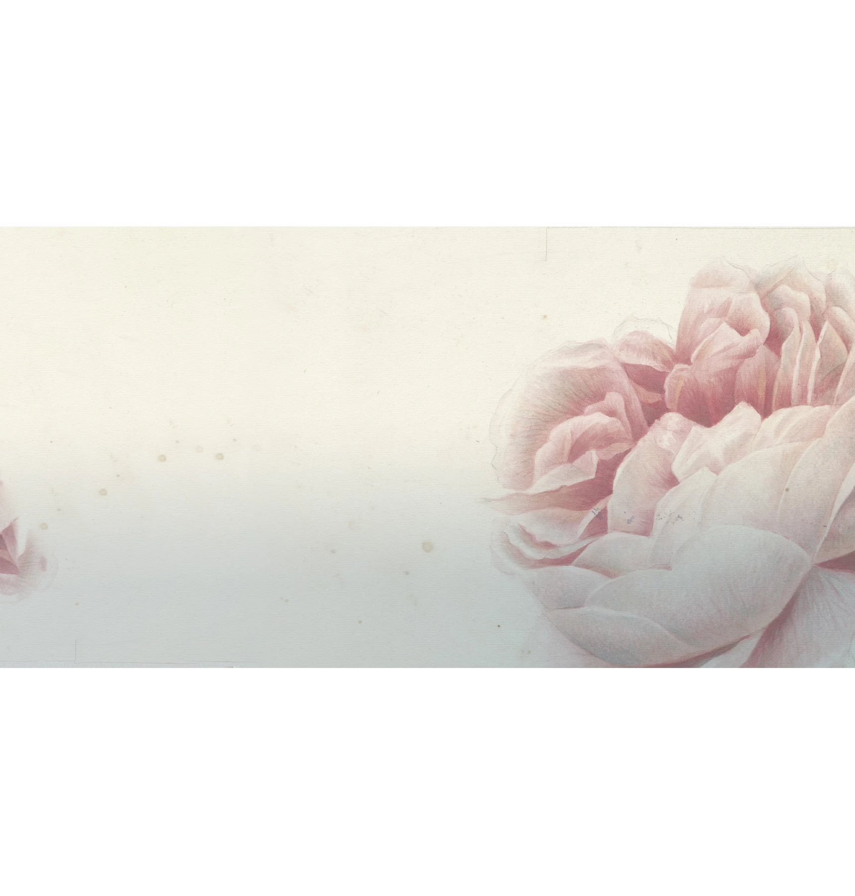 Papel de Parede Romantic Flowers