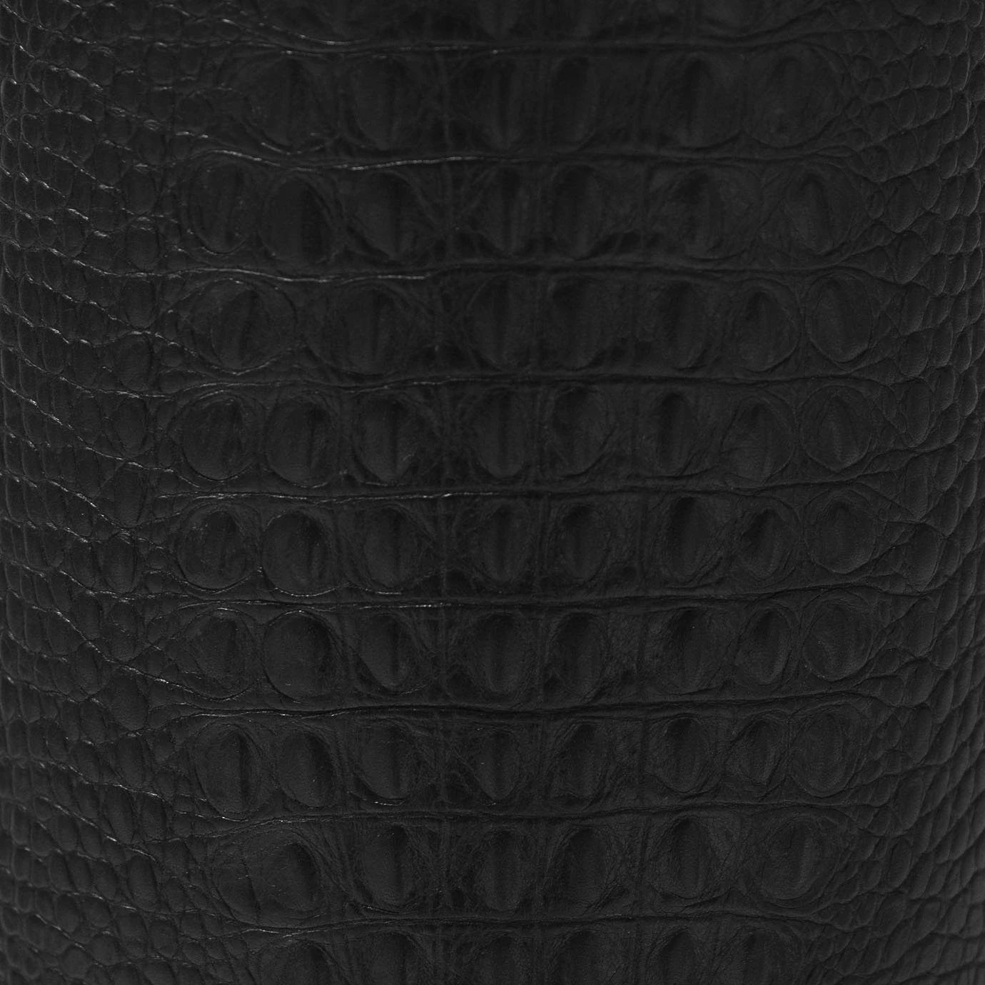 Candeeiro de mesa Reptilia