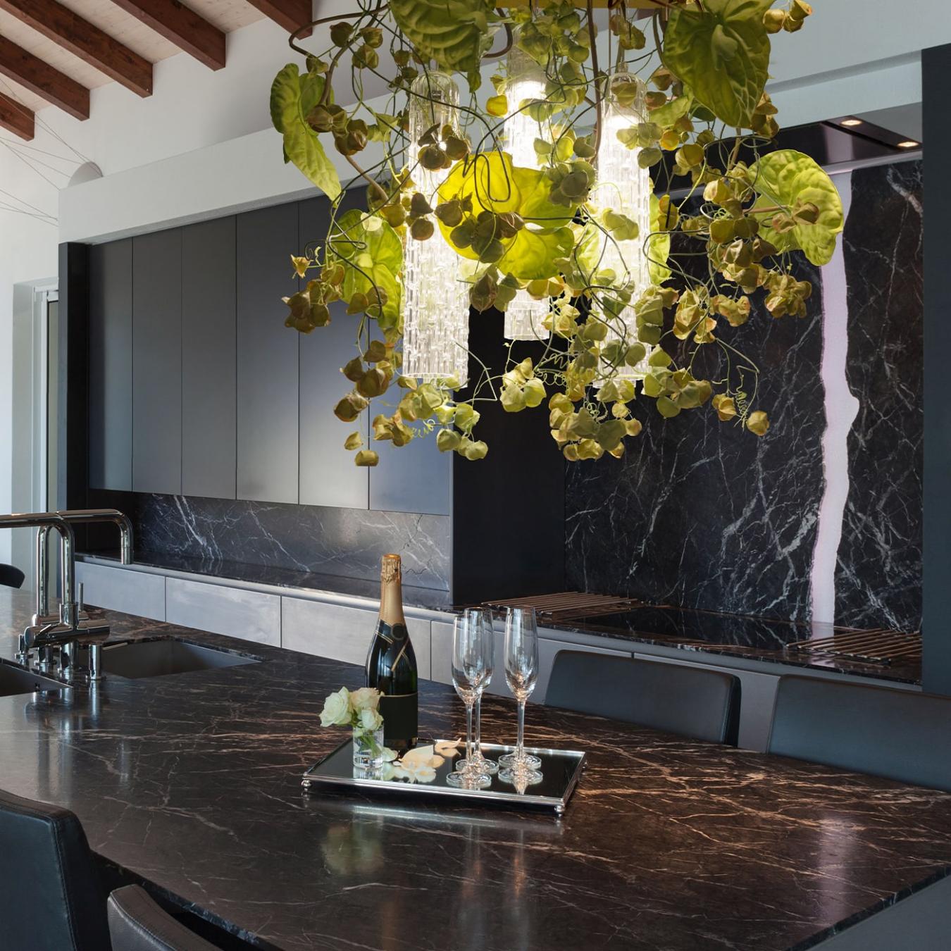 Lustre Physalis Anthurium