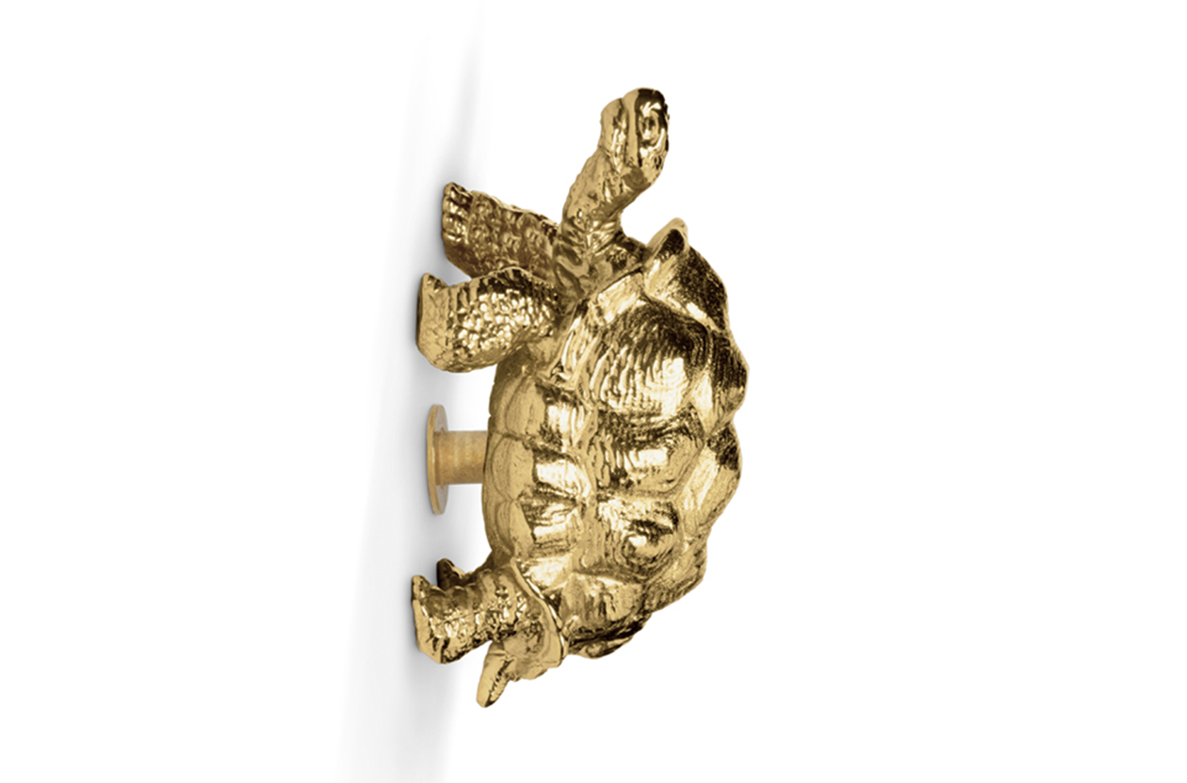 Puxador tartaruga Turtle