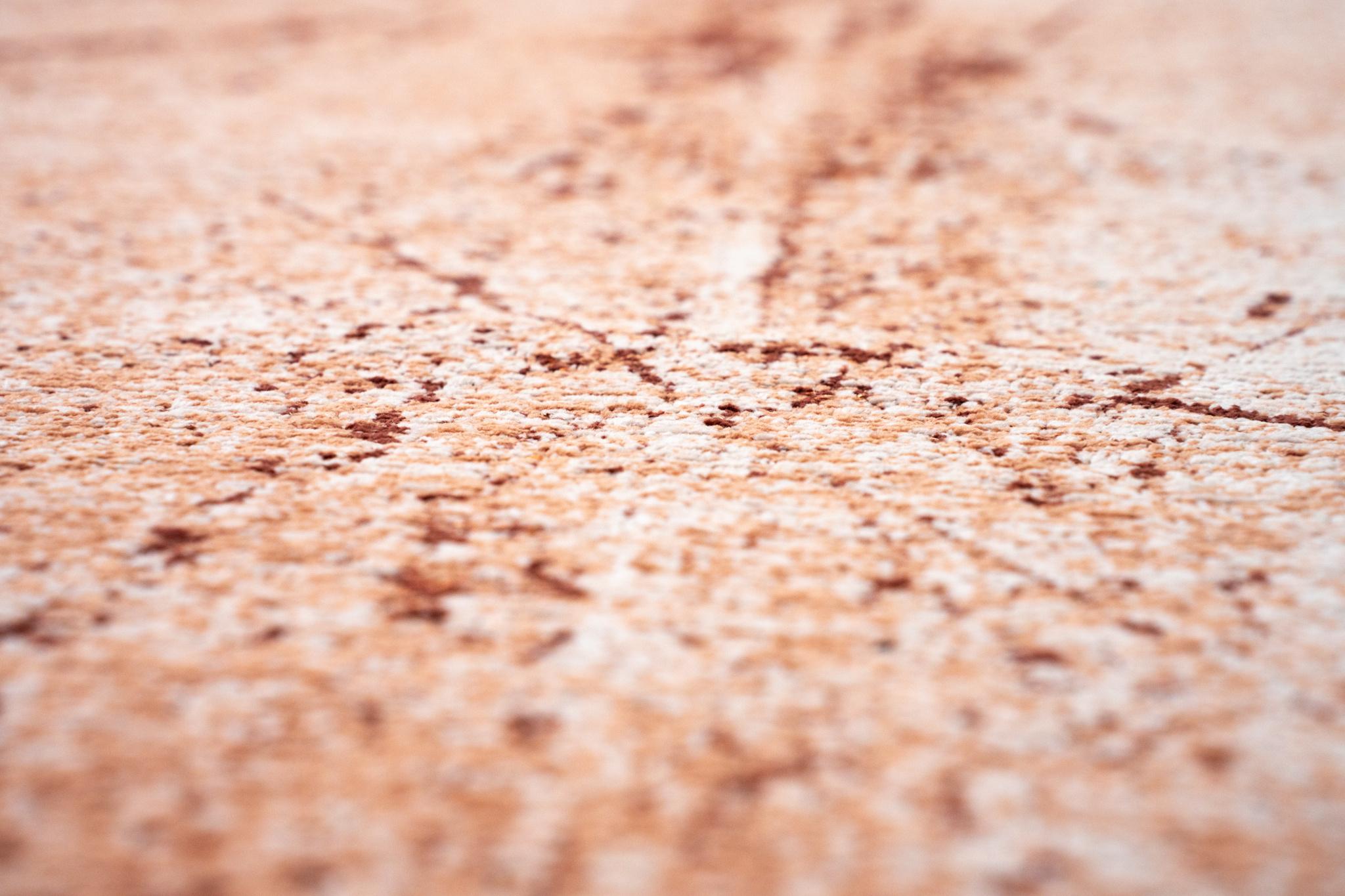 Tapete Tandoori 9774