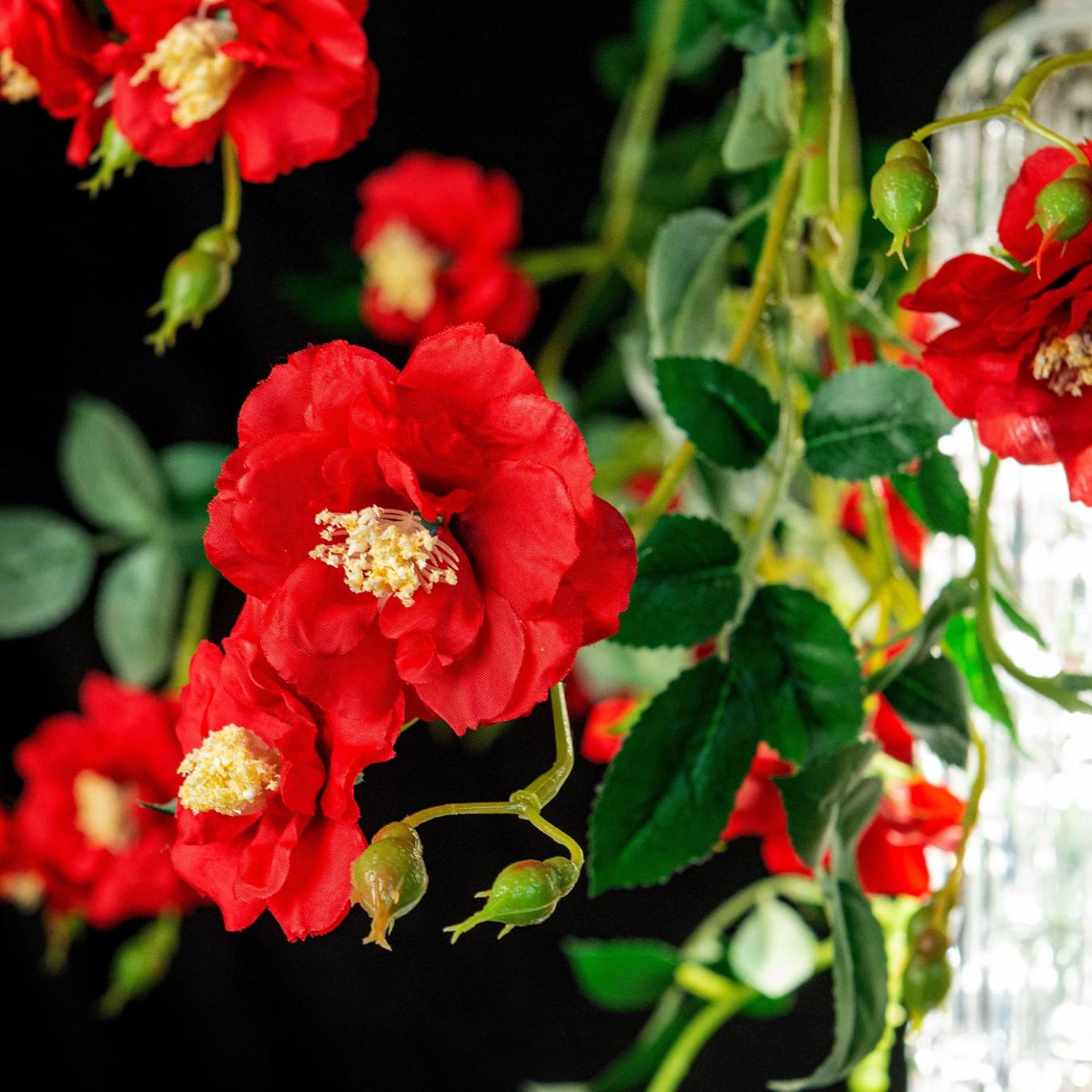 Lustre Grande Wil Red Roses