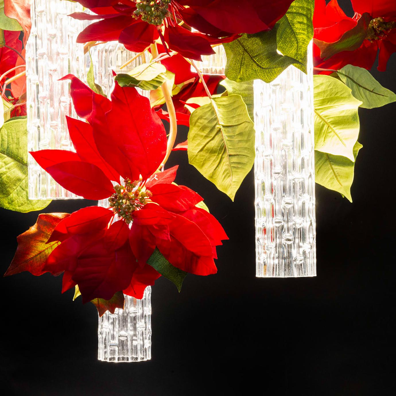 Lustre Poinsettia