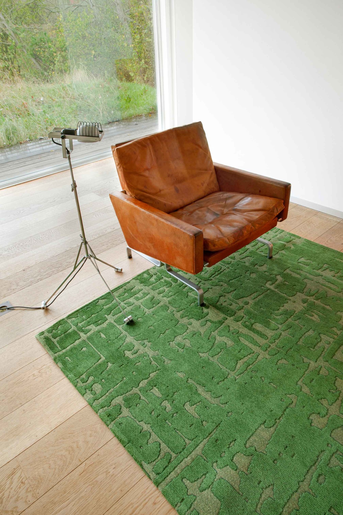 Tapete Baobab - Perrier's Verde 9202 | Tamanho: 170 × 240 cm