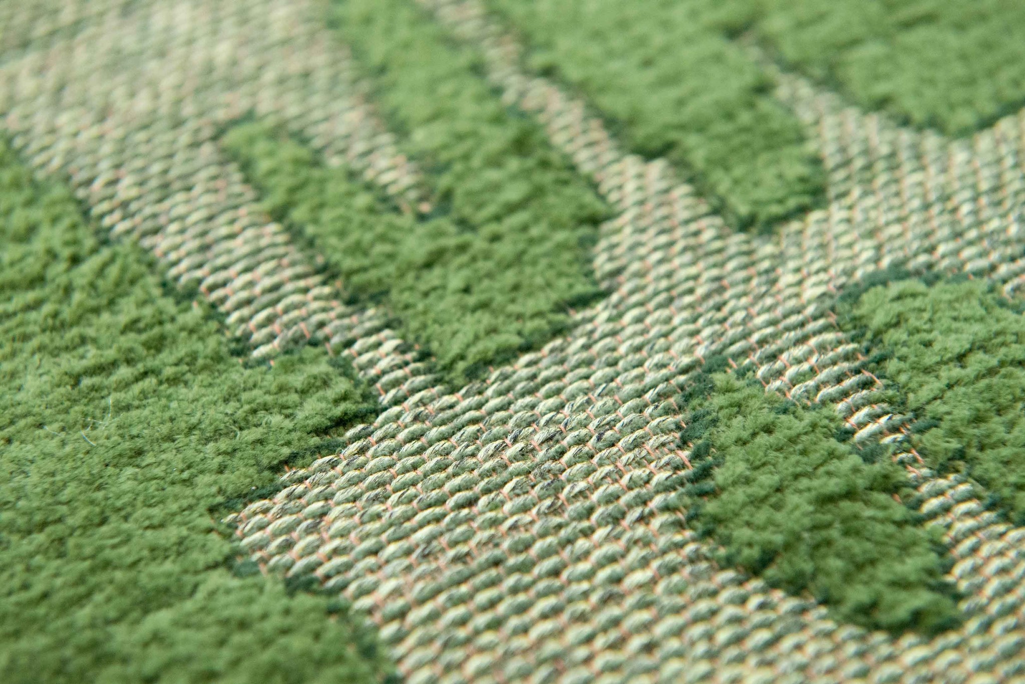 Tapete Baobab - Perrier's Verde 9202 | Tamanho: 170 × 240 cm