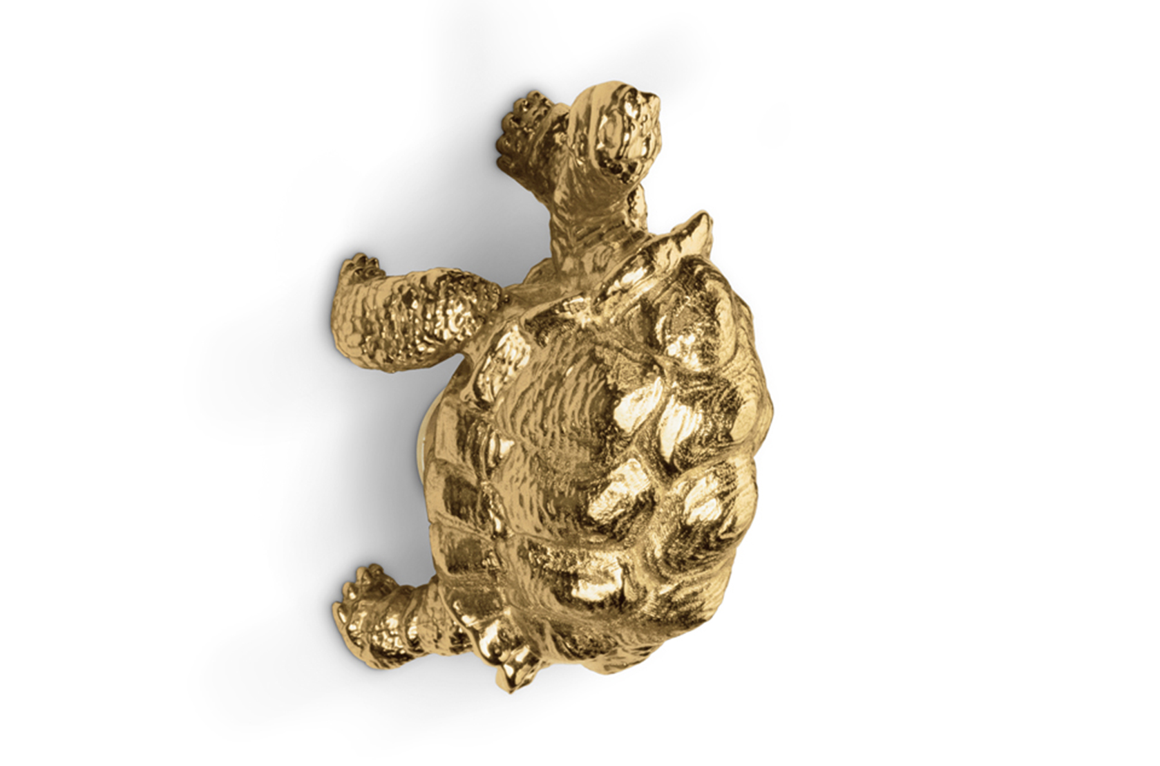 Puxador tartaruga Turtle