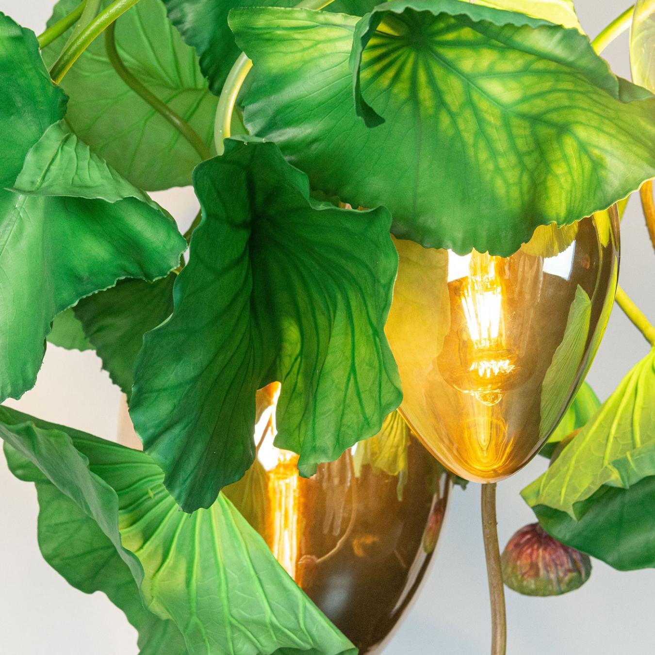 Lustre Redondo Dichondra