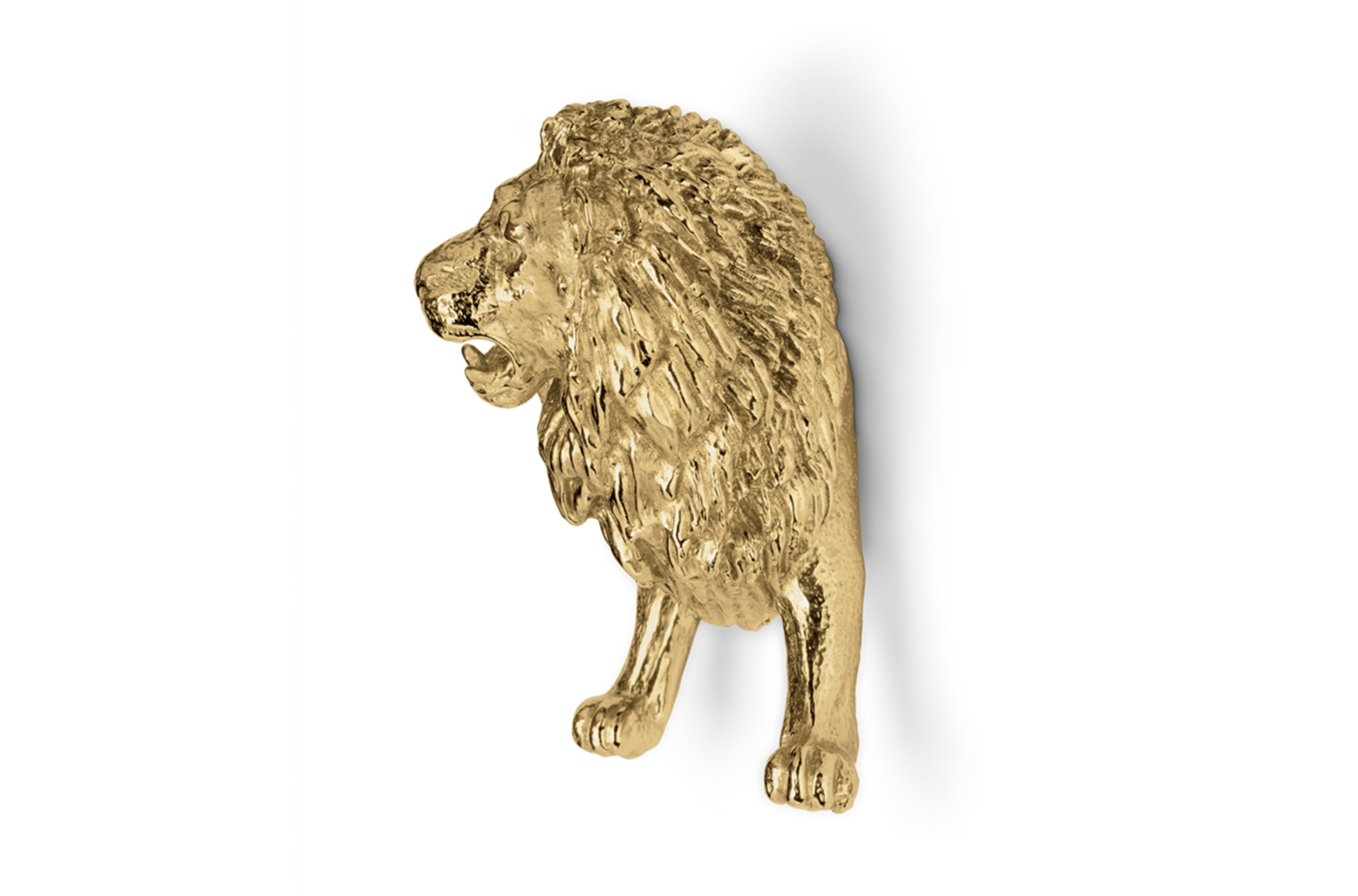 Puxador leão feroz Fierce Lion