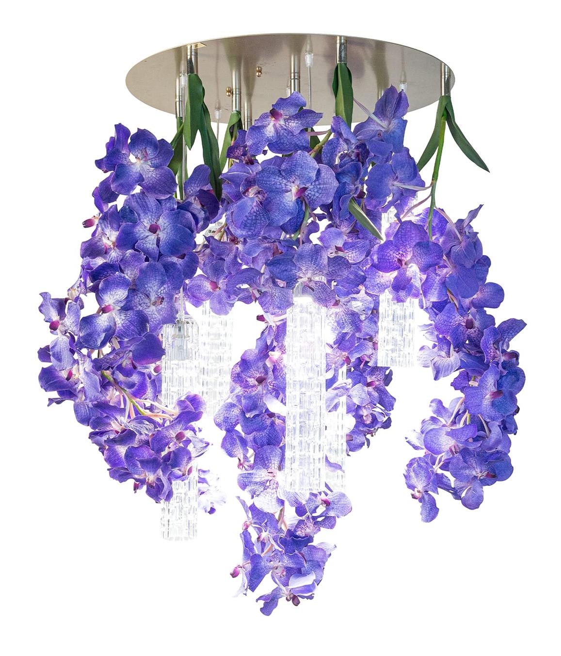 Lustre Grande Vanda