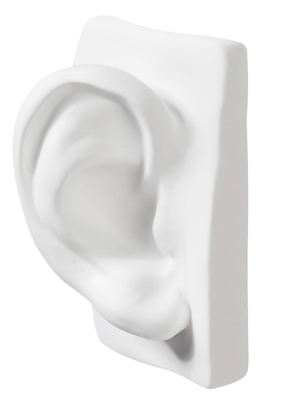 Escultura Orelha de David