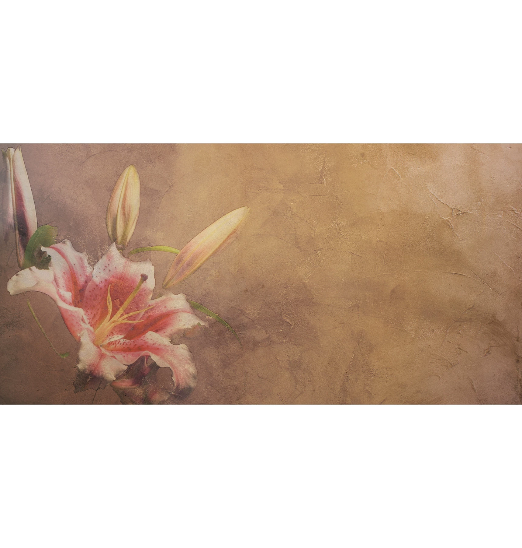 Papel de Parede Amaryllis