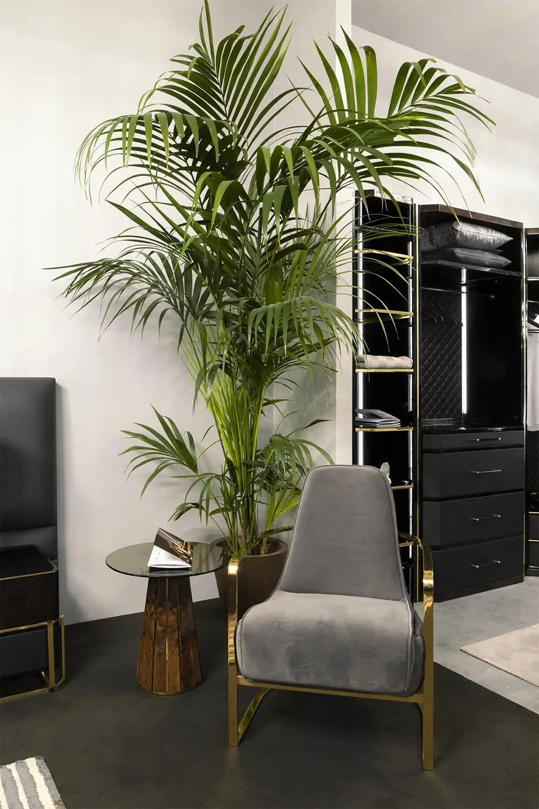 Mesa de Apoio Castanha Radiance II - 5