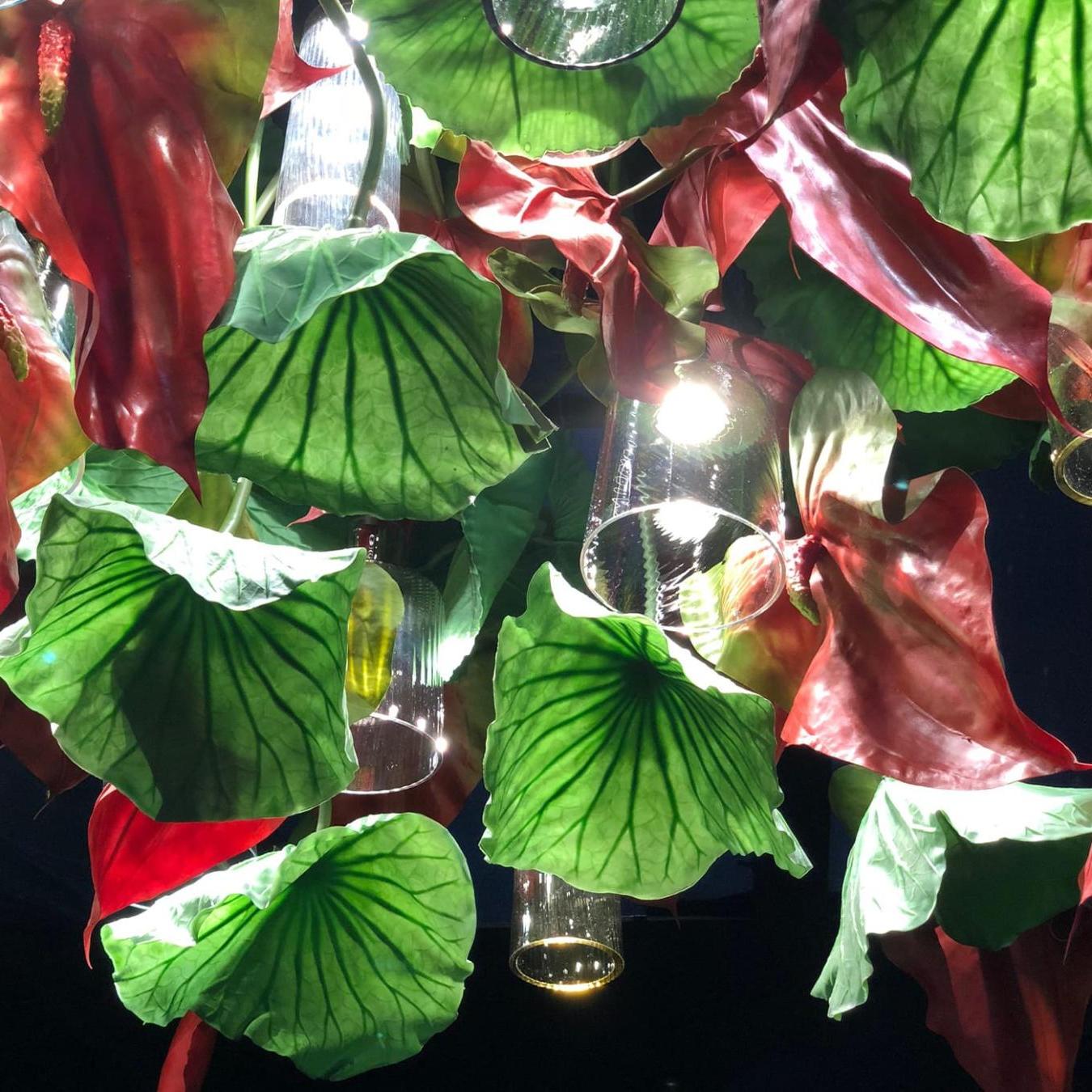 Lustre Red Anthurium