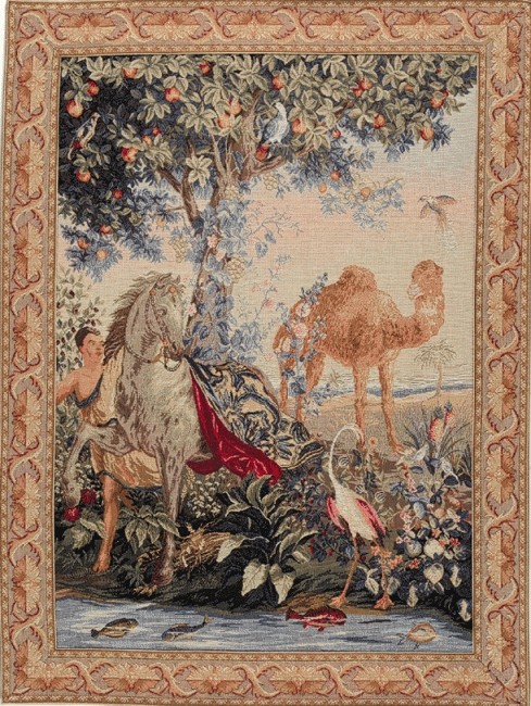 Tapeçaria cavalo coberto | Tamanho: 50 × 67 cm
