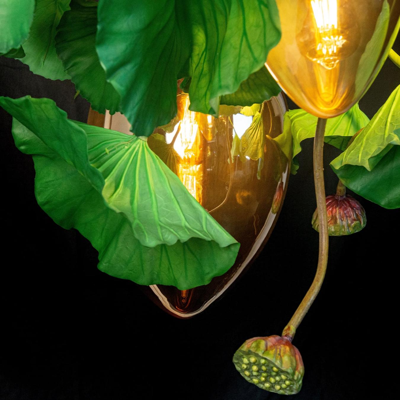 Lustre Redondo Dichondra