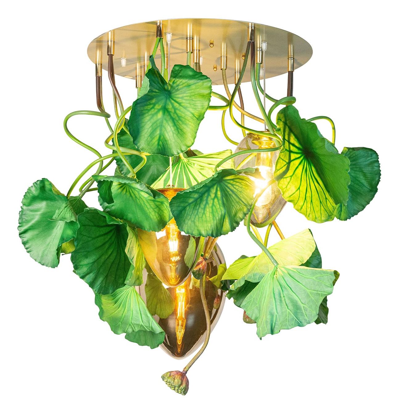 Lustre Redondo Dichondra