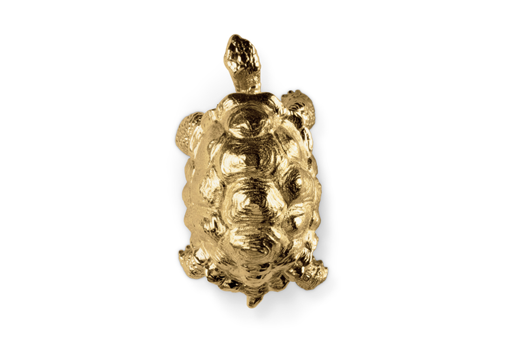 Puxador tartaruga Turtle