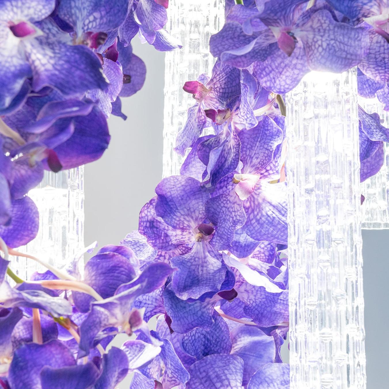 Lustre Grande Vanda