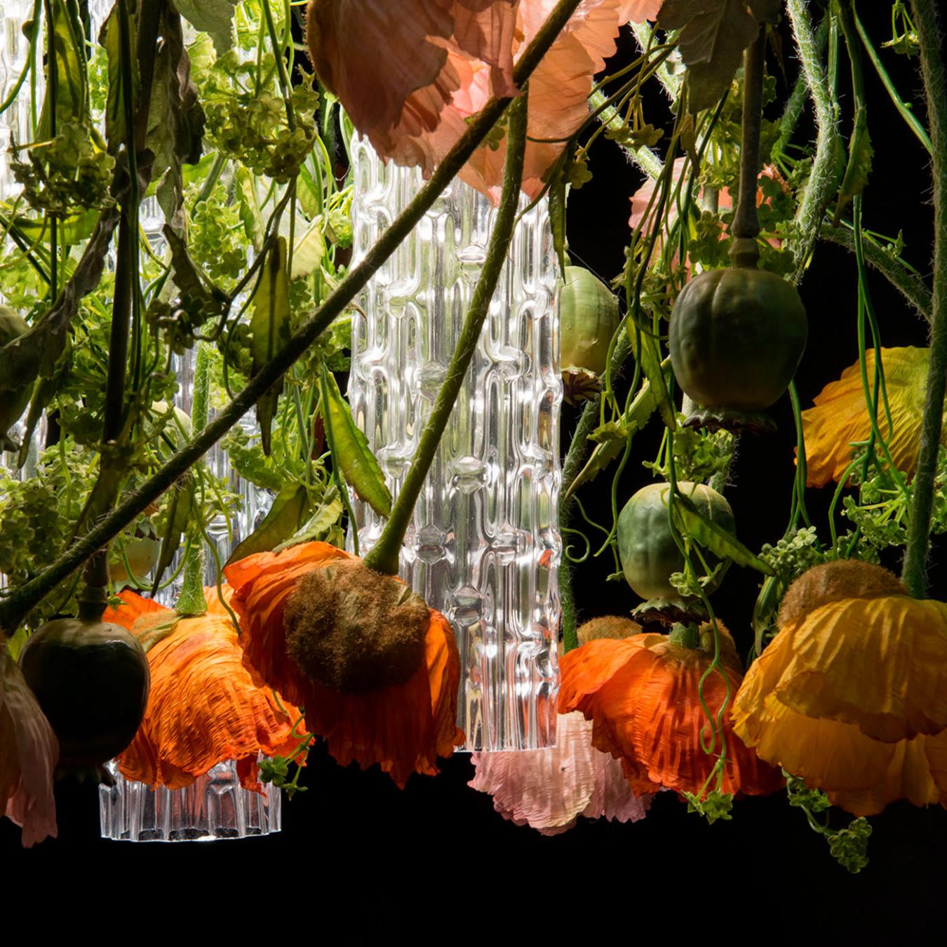 Lustre Redondo Poppy