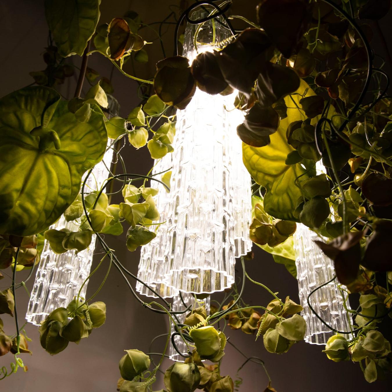 Lustre Physalis Anthurium