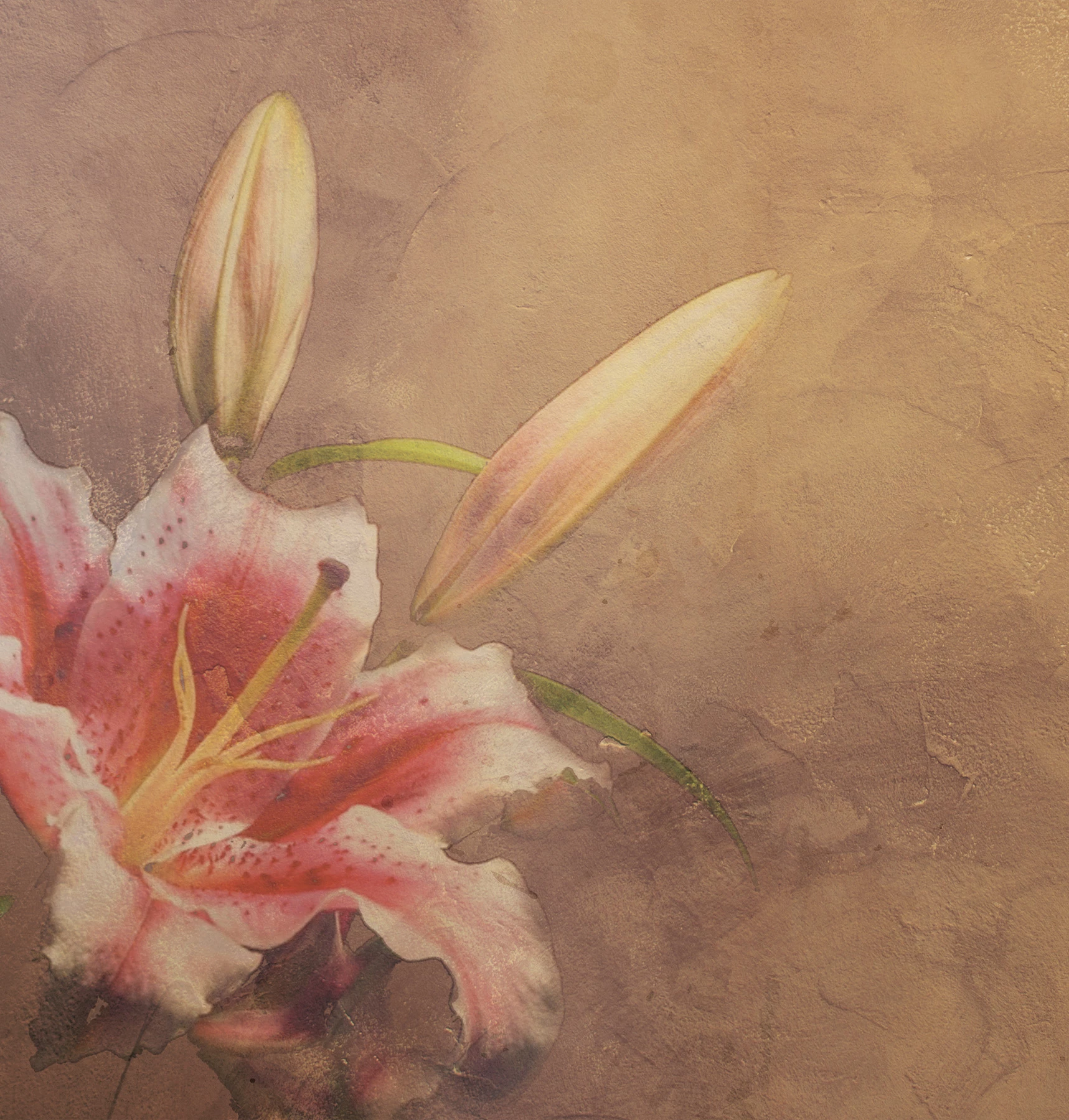 Papel de Parede Amaryllis