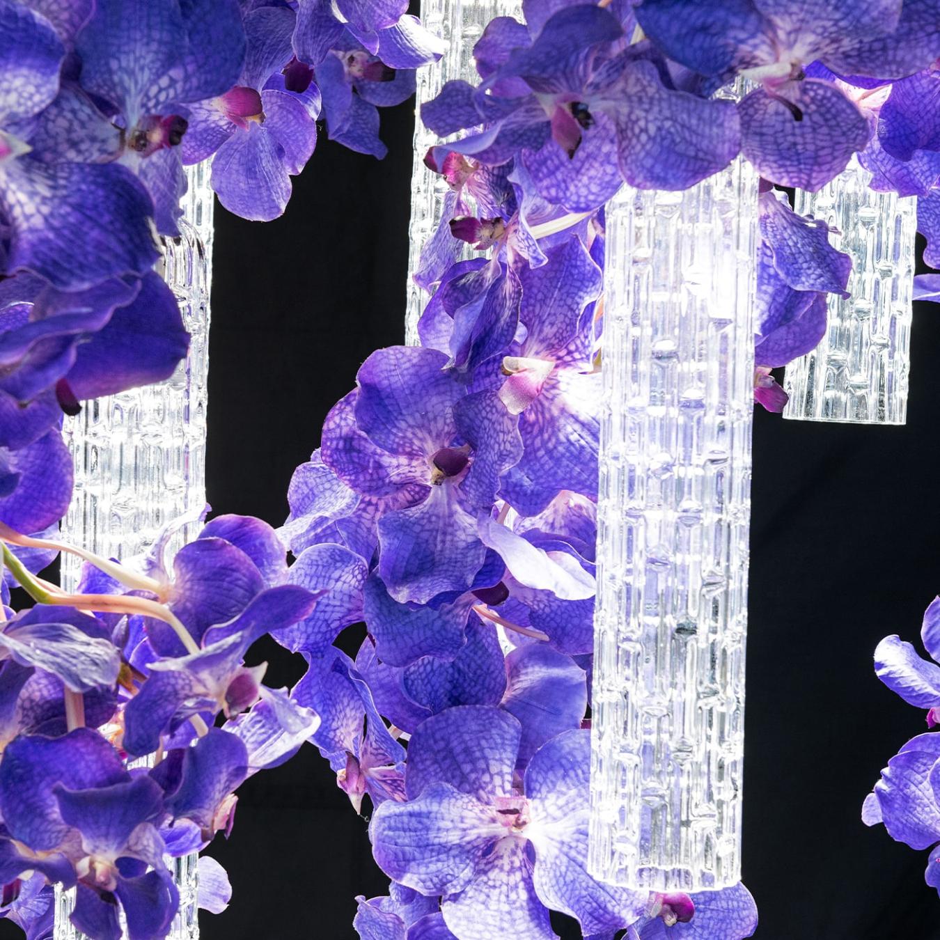 Lustre Grande Vanda