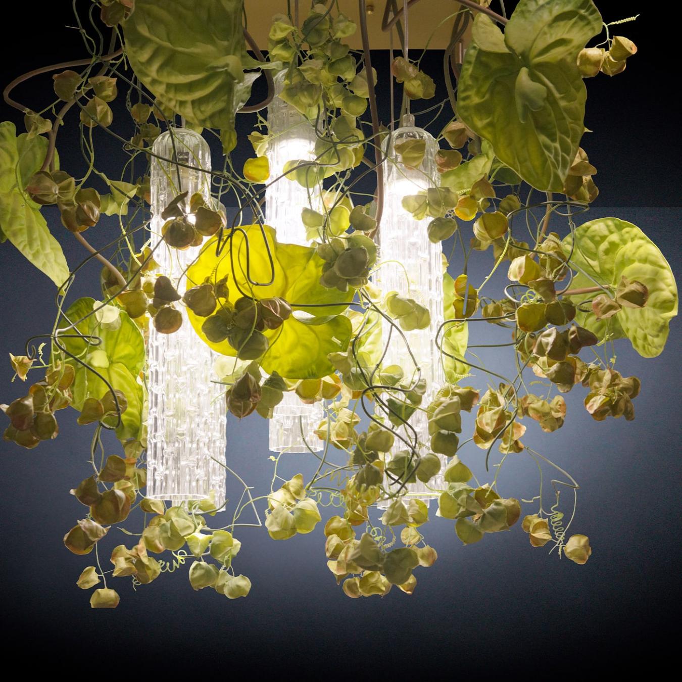 Lustre Physalis Anthurium