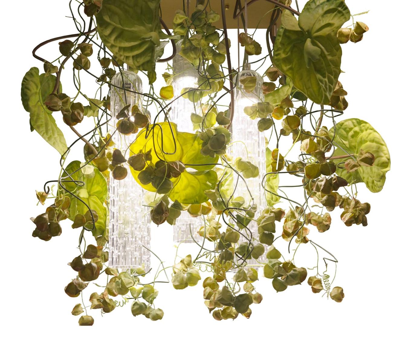 Lustre Physalis Anthurium