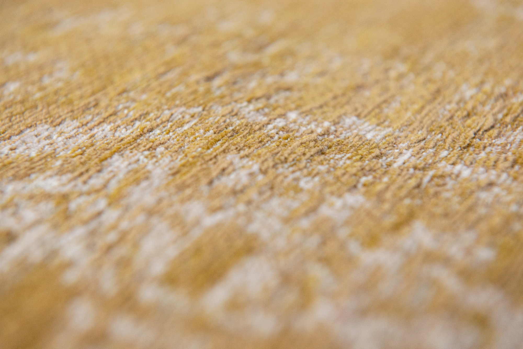 Tapete Spring Moss 9145