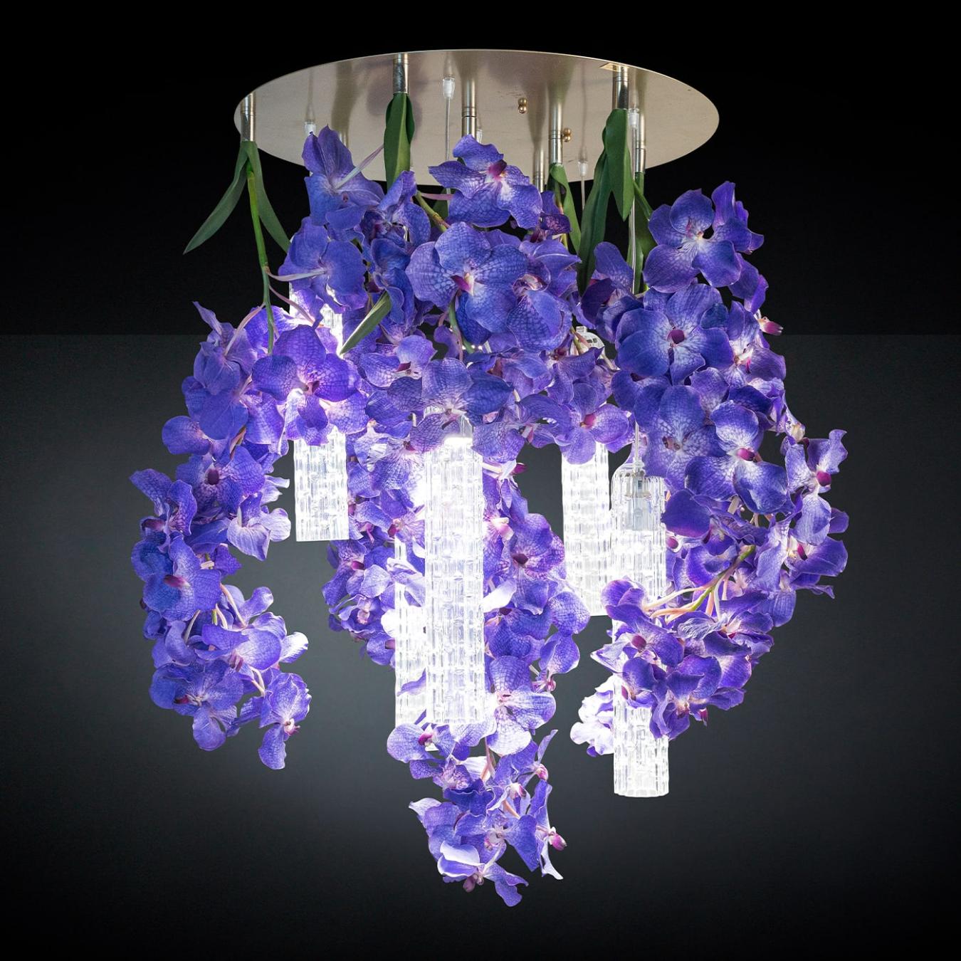 Lustre Grande Vanda