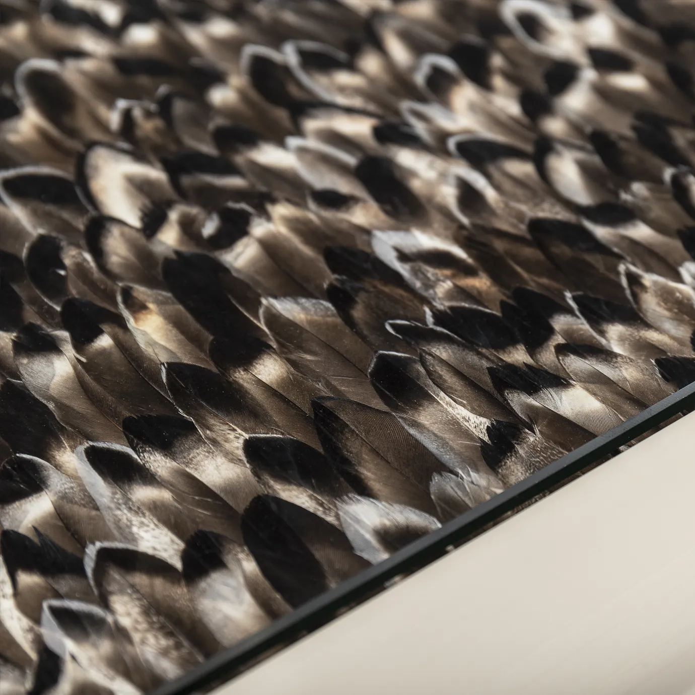 Mesa de Jantar Tampo Pluma Exótica Mistral