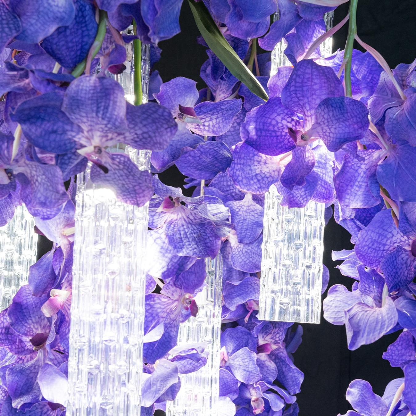 Lustre Grande Vanda