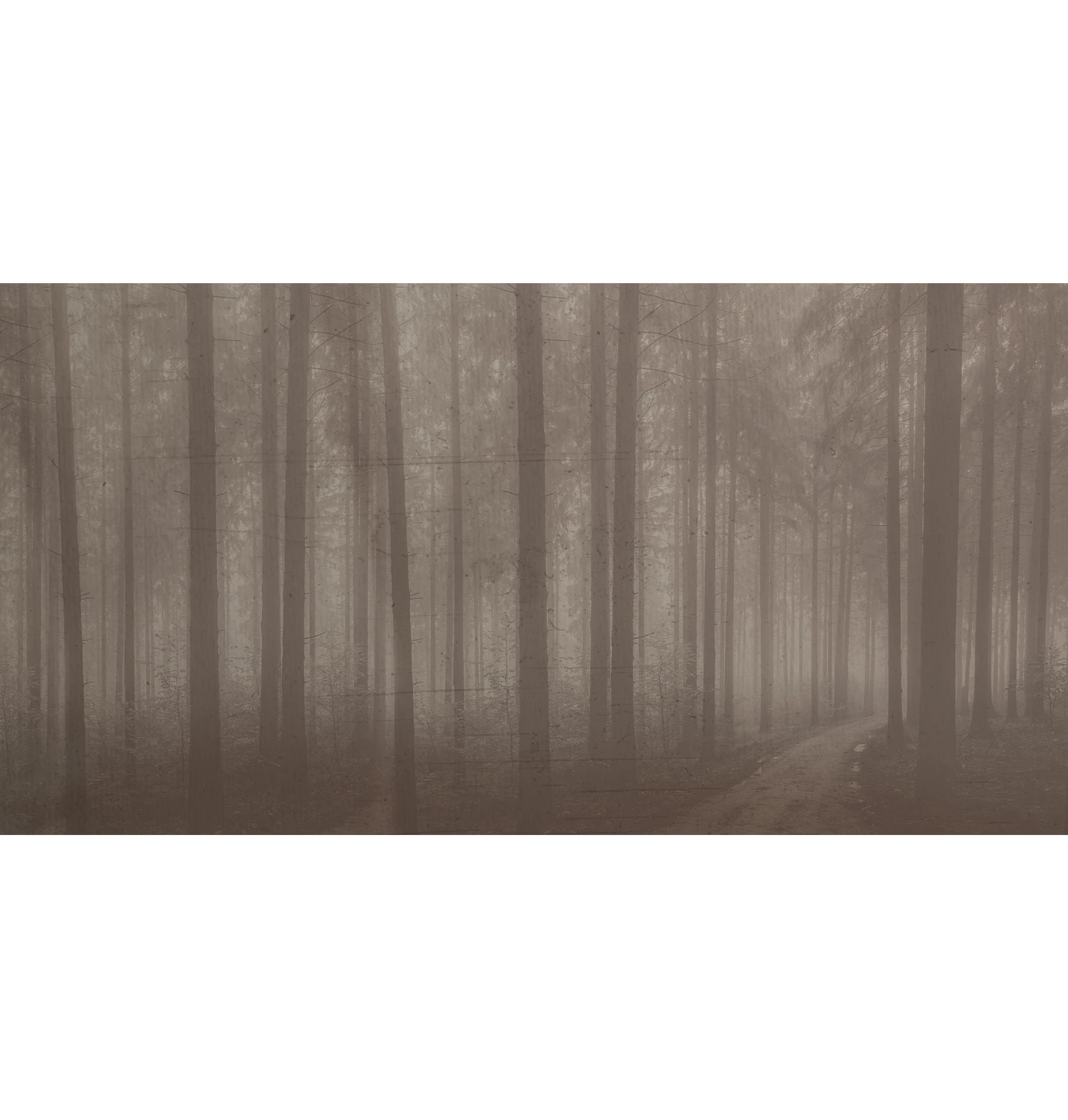 Papel de Parede Night Forest