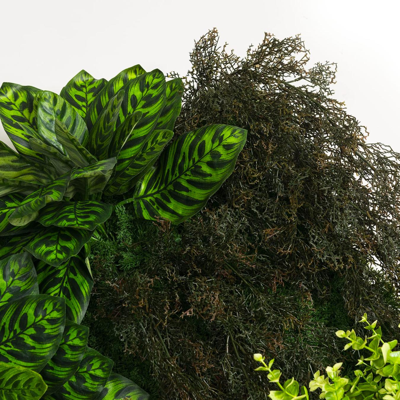 Composição de Parede em Vegetação Exterior Yellowstone